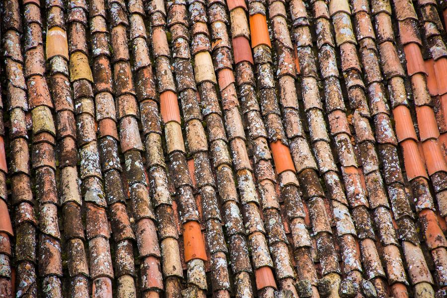 Tuiles terracotta anciennes couvertes de mousses et de lichens