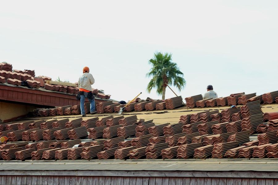 Ouvriers qui posent des tuiles terracotta sur un toit, avec un palmier derrière eux